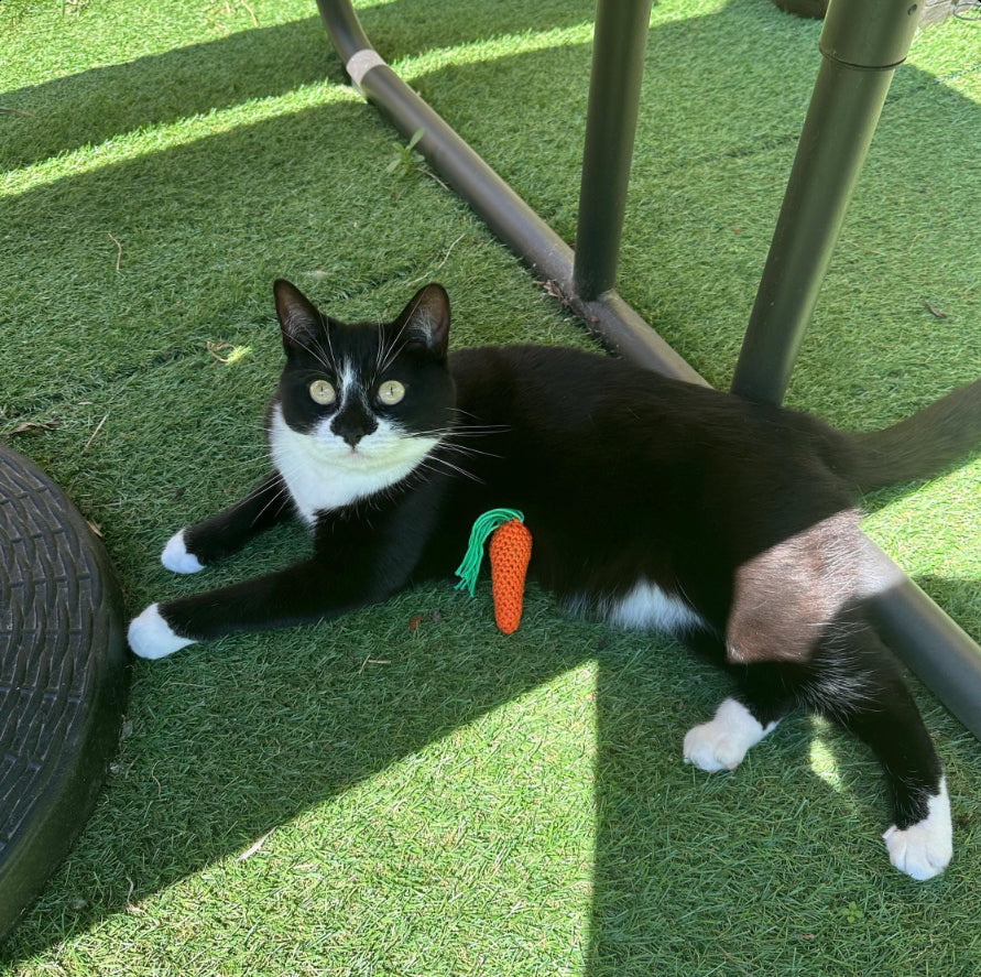 Catnip Carrot Crochet Cat Toy