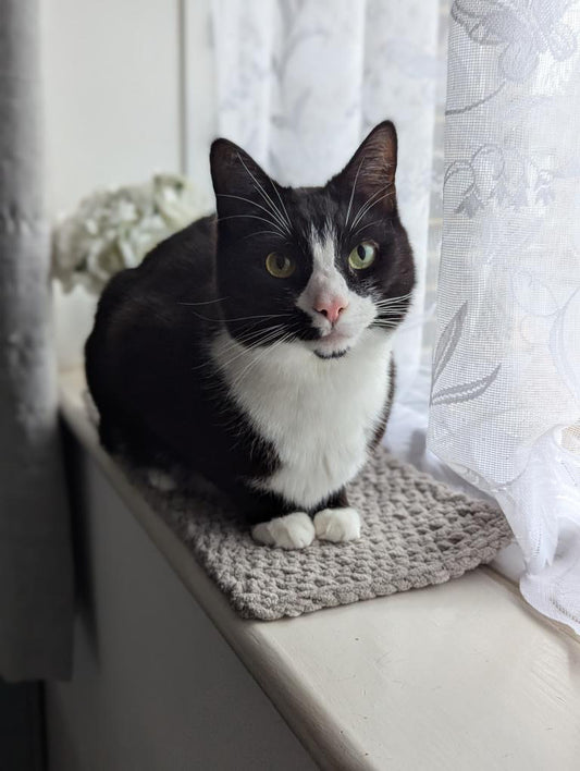 Crochet Cat Window Mat