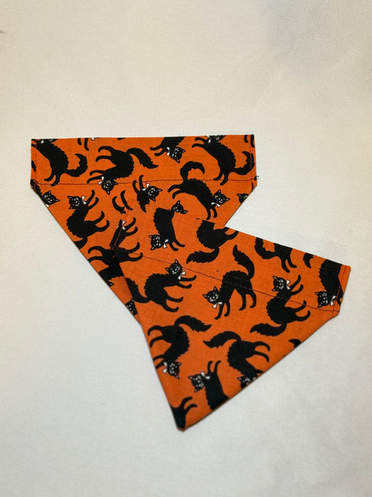 Halloween Cat Bandana