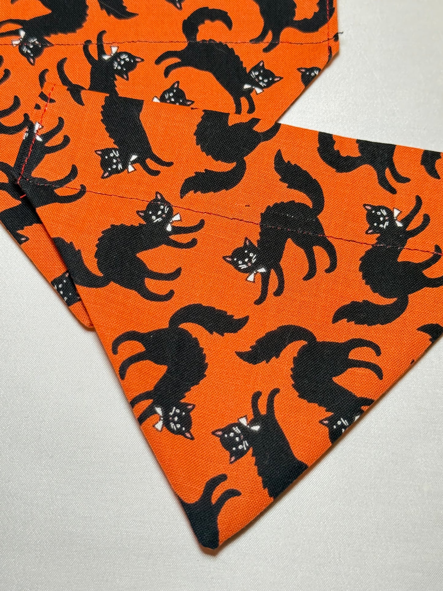 Halloween Cat Bandana
