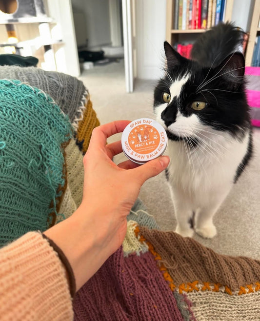 Natural Cat paw & nose balm