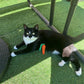 Catnip Carrot Crochet Cat Toy