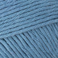 Silvervine Sardine Crochet Cat Toy