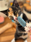Silvervine Sardine Crochet Cat Toy