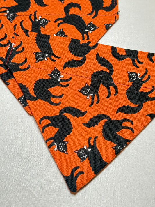 Halloween Cat Bandana